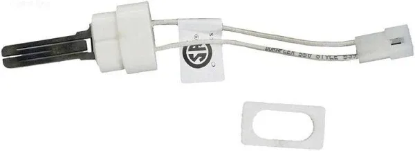 Pentair Igniter/Igniter Gasket Kit