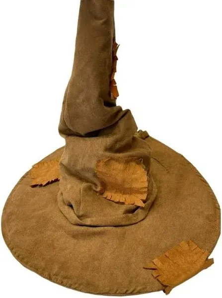 Harry Potter Sorting Hat