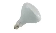 Halco R40FL500/HG 500 Watt Incandescent Pool Light Bulb