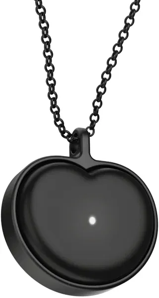 Bond Heart Necklace