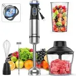 Ganiza Immersion Blender 5 in 1 Hand Blender