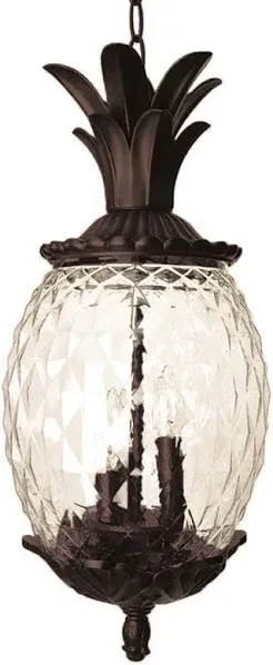 Acclaim Lighting Lanai 3 Light Hanging Light, Black Coral - 7516BC