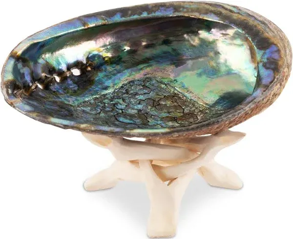 Wish Well Natural Abalone Shell Incense Holder and Smudge Bowl