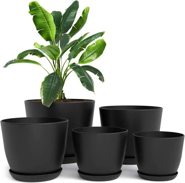 Utopia Home Plant Pots Pack of 5