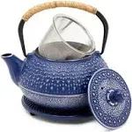 Cast Iron Teapot with Infuser Japanese Tea Kettle