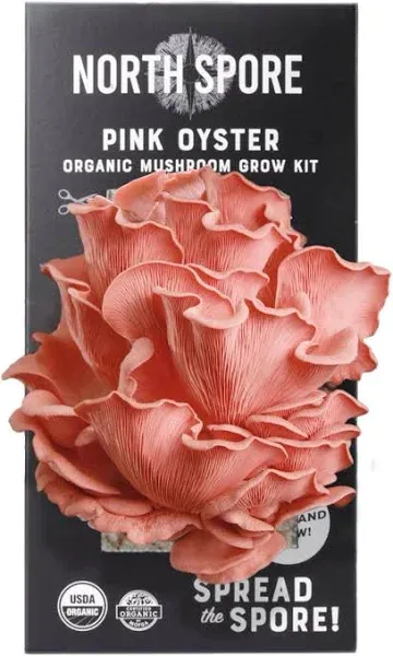 North Spore Organic Pink Oyster Spray & Grow Mushroom Growing Kit