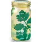 Modern Sprout Cilantro Garden Jar