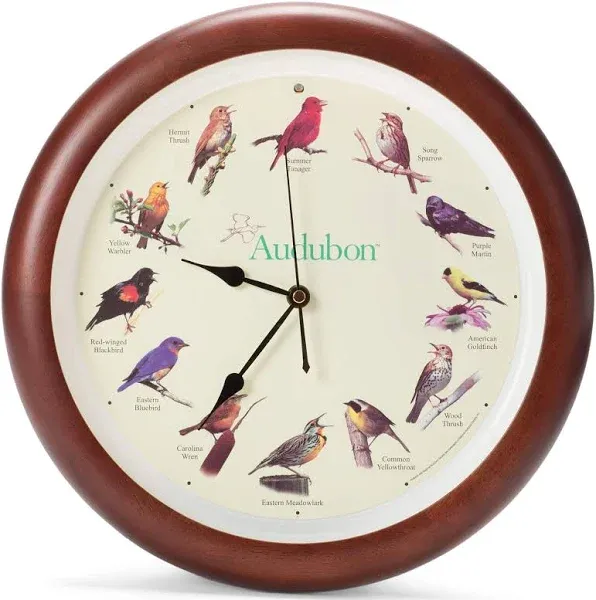 Singing Bird Wall Clock, Oak Wood Frame 13 Inch--New free freight