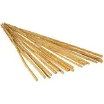 4' Bamboo Stakes, Natural, Pack of 25