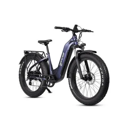 Young Electric E-Scout Pro Step-Through Commuter Ebike