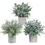 Set of 3 Mini Potted Artificial Eucalyptus Plants Plastic Fake Green Rosemary...