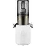 Hurom H310A Personal Self Feeding Slow Masticating Juicer