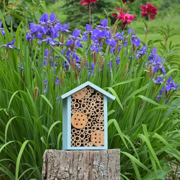 Nature&#039;s Way Bird Products PWH1-C Teal Bee House