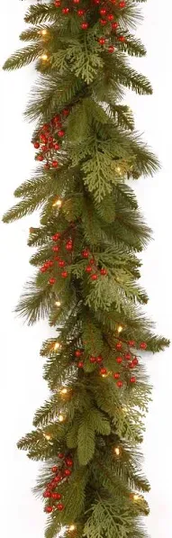 Classical Collection 9 ft.Mixed Evergreen Tip Garl with Clear Lights