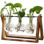 Xxxflower Plant Terrarium with Wooden Stand Air Planter Bulb Glass Vase Metal Swivel Holder Retro Tabletop for Hydroponics Home