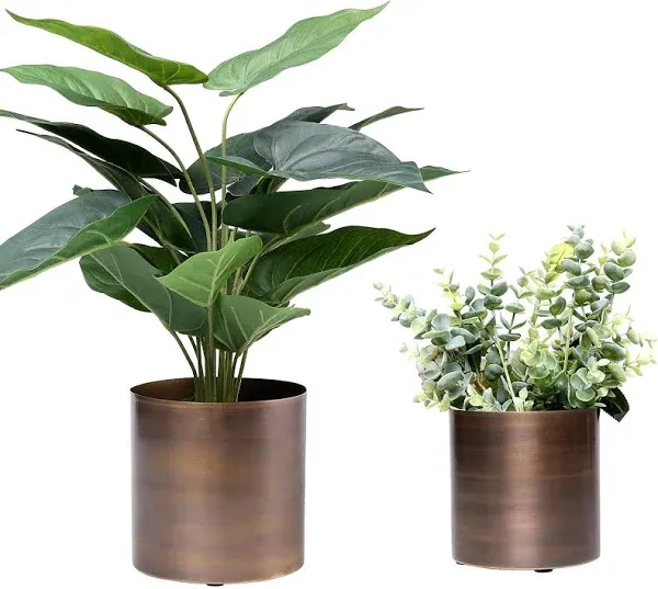 Bronze Tone Metal Cylindrical Plant Pot, Succulent Planter Flower Pots, Set of 2