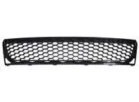 VW1036129 FRONT BUMPER GRILLE