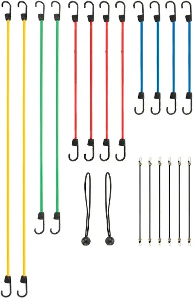 Wilmar W1890 20 Piece Bungee Cord Assortment