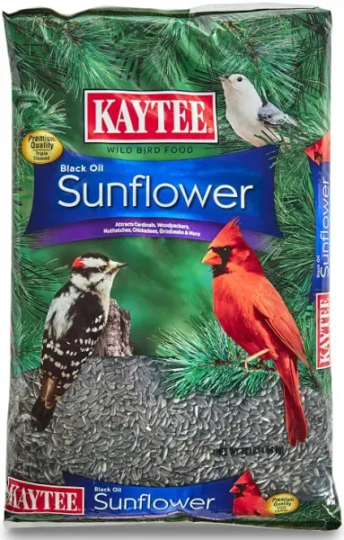 Kaytee Black Oil Sunflower Food