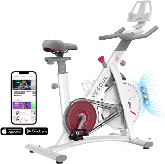 Yesoul Black Exercise Bike for Home,smart White Cycling Bike magnetic Stationary Bike