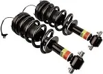 NEWZQ Front Shock Absorber Strut Assembly for Cadillac Chevy GMC Sport Utility 2015-2019 Black 2Pcs