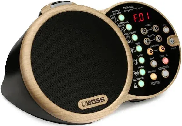 Boss DR-01S Rhythm Partner