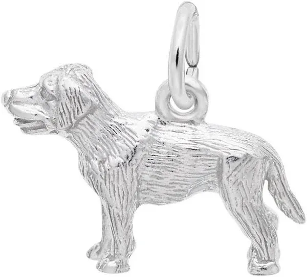 Sterling Silver Labrador Retriever Charm