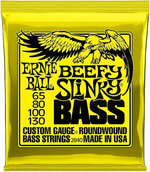 Ernie Ball P02840