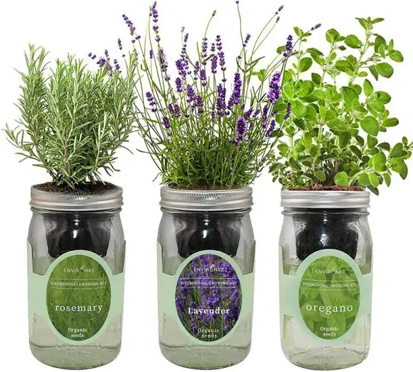 Environet Hydroponic Herb Growing Kit Set Self-Watering Mason Jar Herb Garden Starter Kit Indoor