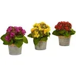 Nearly Natural Kalanchoe Artificial Arrangements (Set of 3)