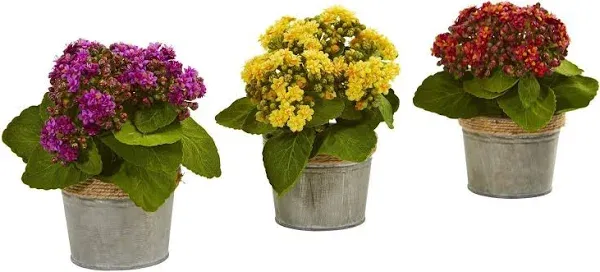 Nearly Natural 9" x 8" 3pc Artificial Kalanchoe Arrangement in Pot Set: Indoor Faux Flora Decor, Spring Theme