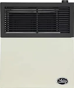 Ashley 11,000 BTU Direct Vent Propane Wall Heater