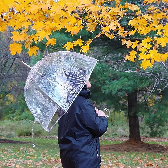 totes Signature Bubble Umbrella - Manual Open, One Size - Birds on a Wire