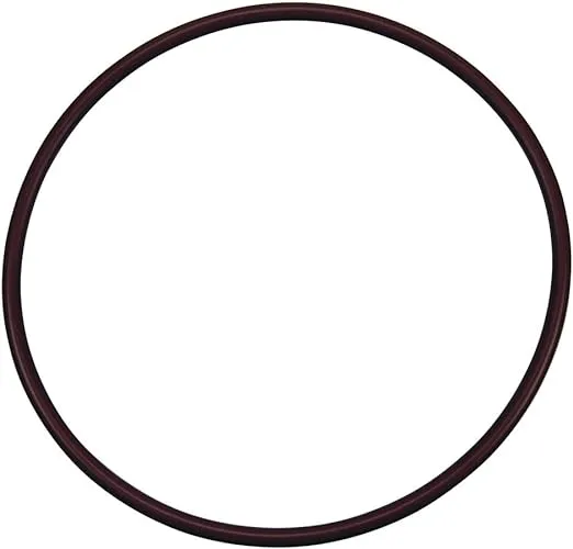 Pentair Lid O-Ring, R172240