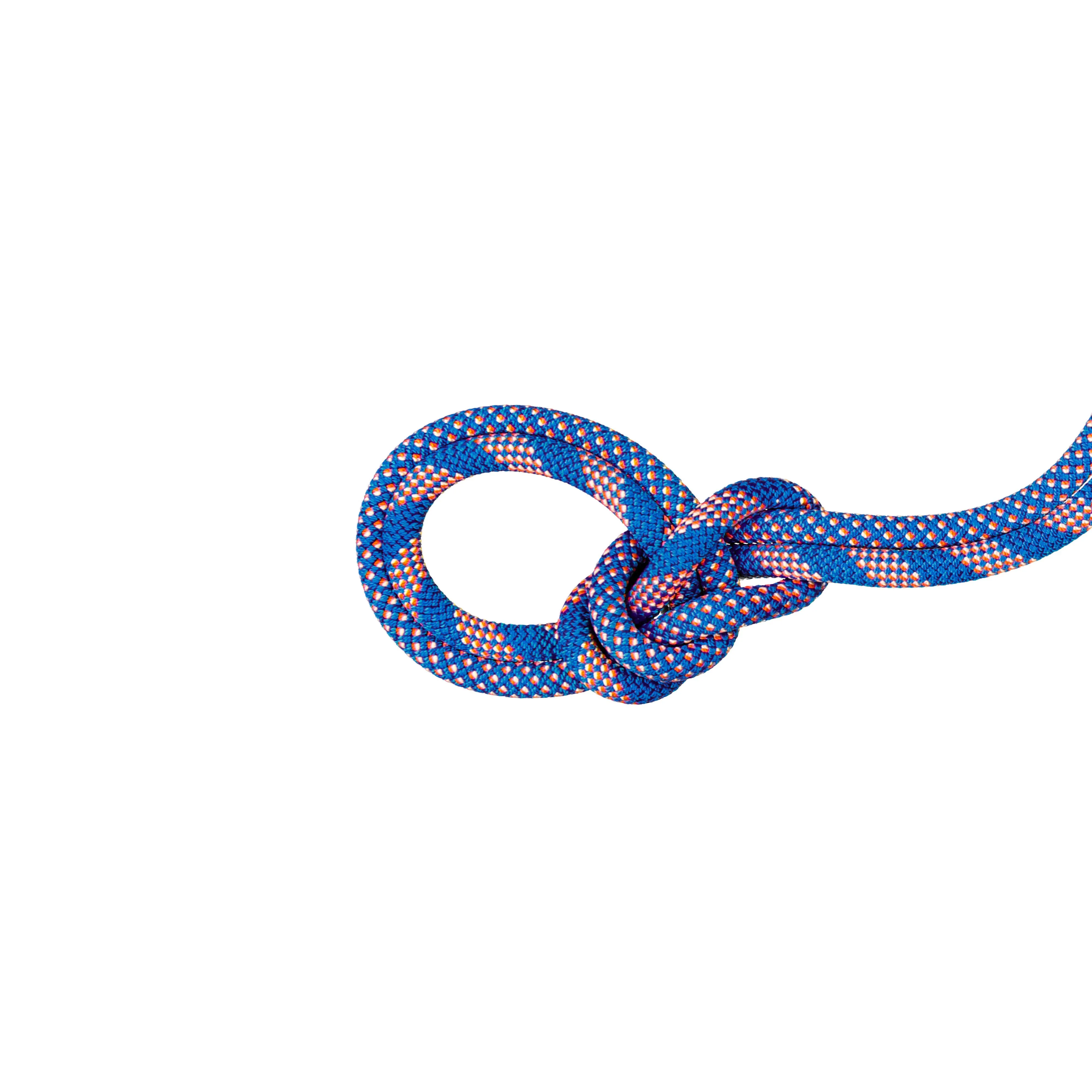 Mammut 9.5 Crag Classic Rope         w/ Free Shipping — 6 models