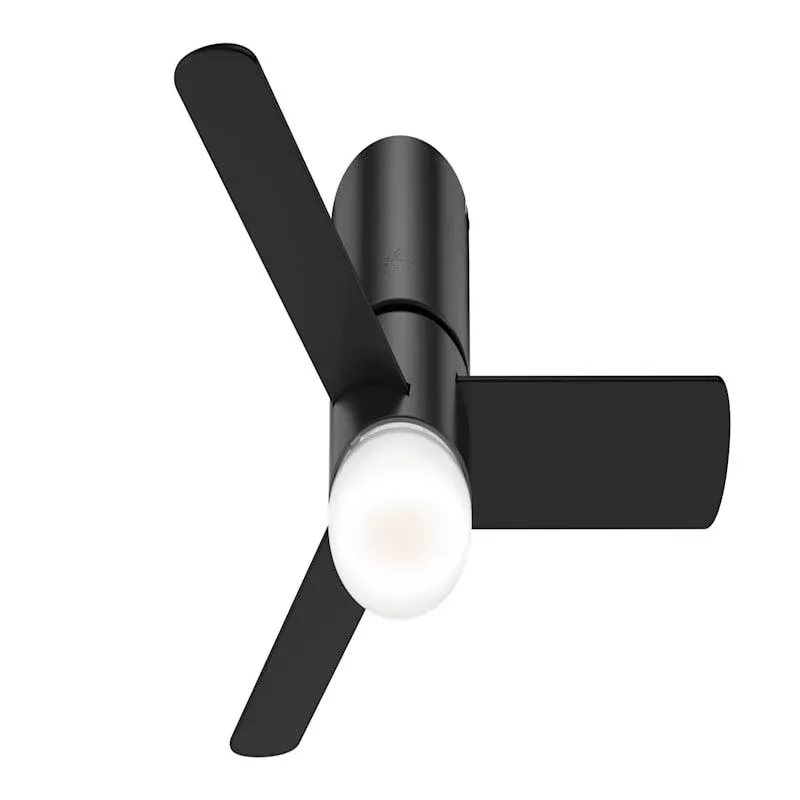 Hunter Minimus 44" LED Low Profile Ceiling Fan - Matte Black - 59453