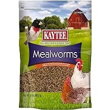 Kaytee Mealworms Bird Food (32 oz)