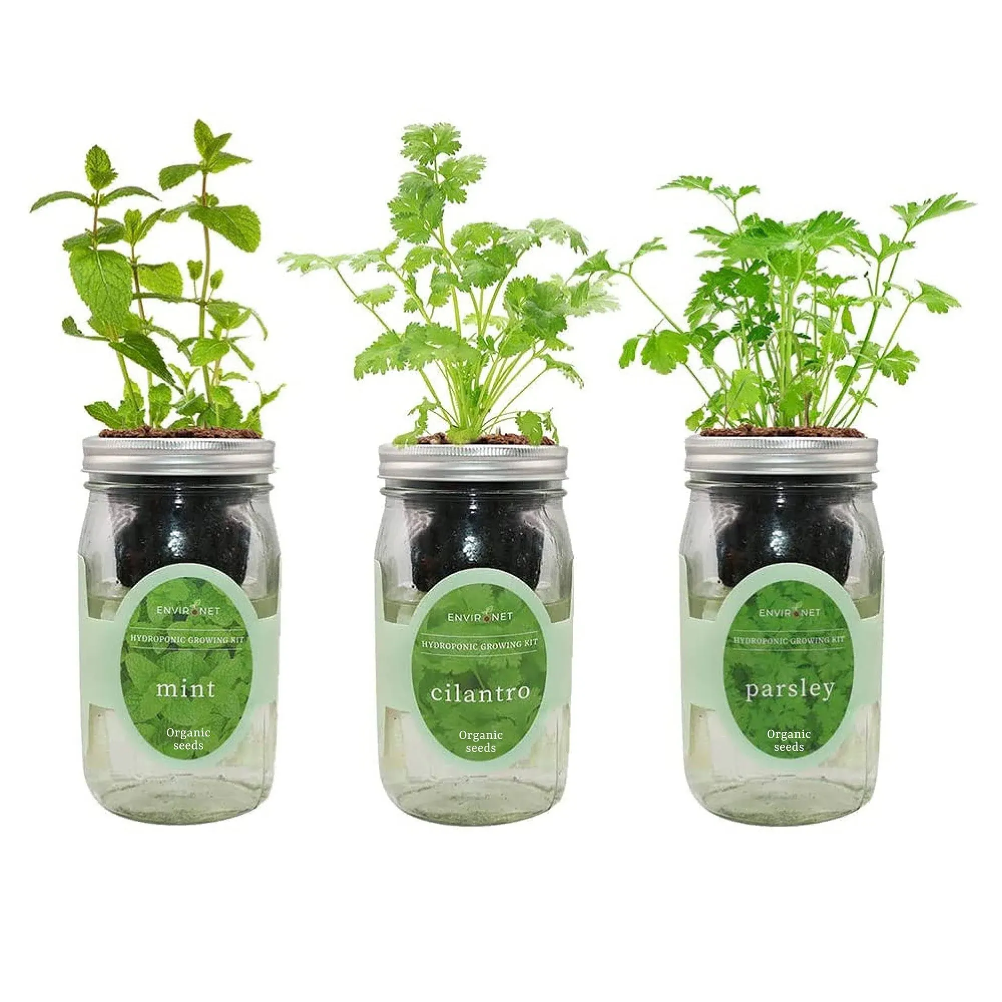 Environet Hydroponic Herb Growing Kit Set Self-Watering Mason Jar Herb Garden Starter Kit Indoor