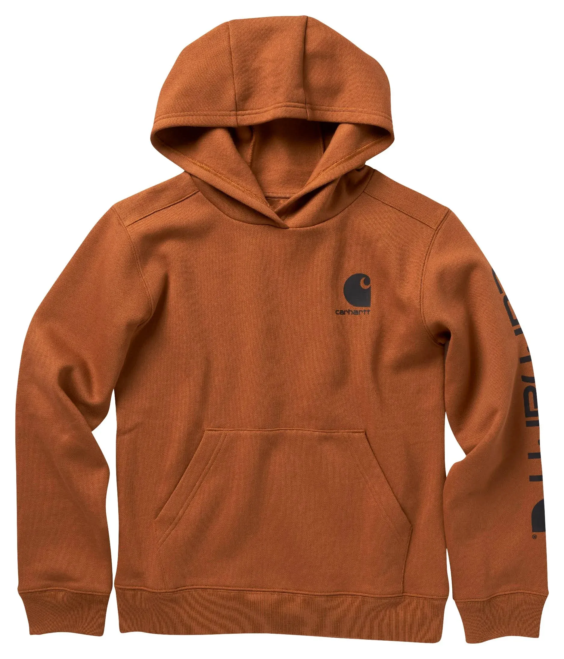 Carhartt Boys' Long-Sleeve Graphic Sweatshirt