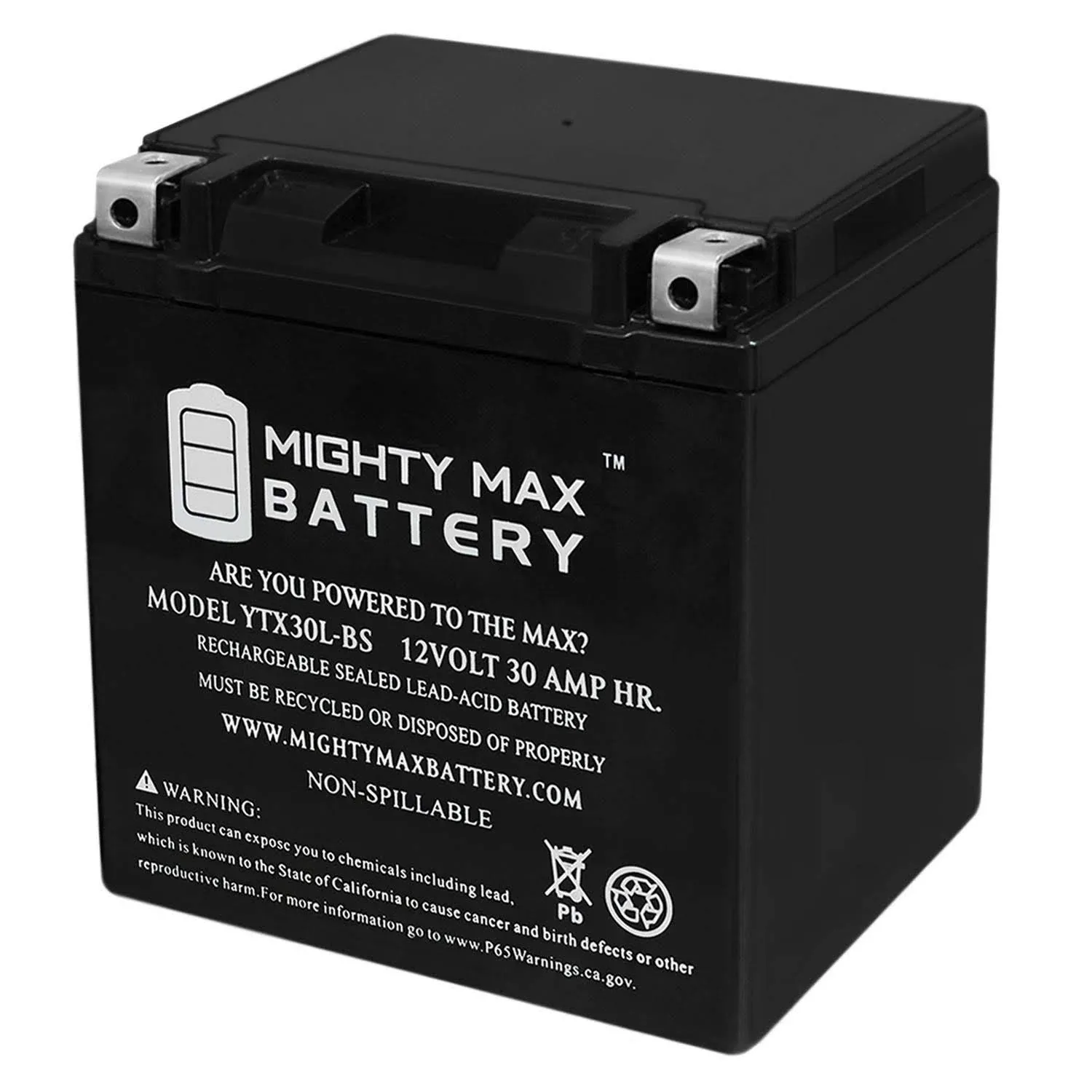 Mighty Max Battery Ytx30l-bs 12V 30AH Battery