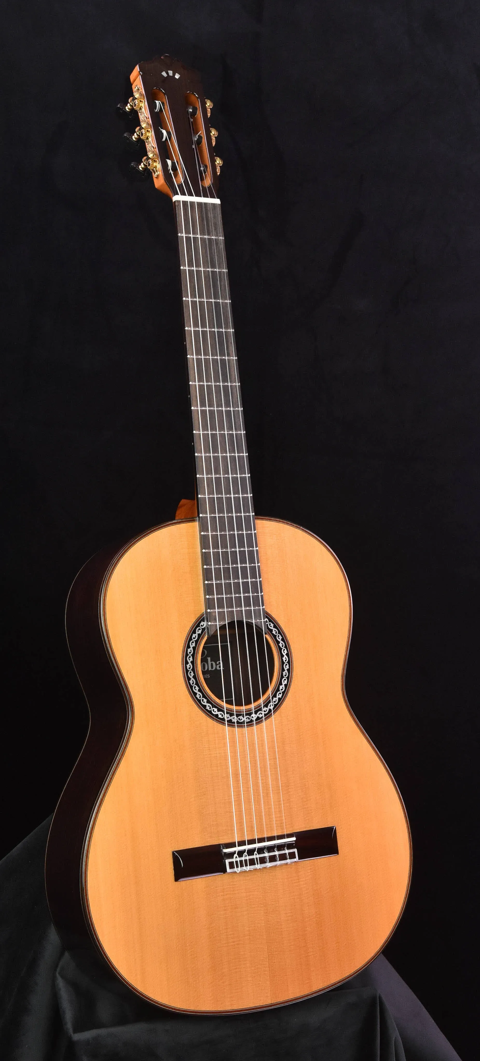 Cordoba C10 CD/IN Acoustic Nylon String Solid Cedar Top Classical Guitar w/ Case