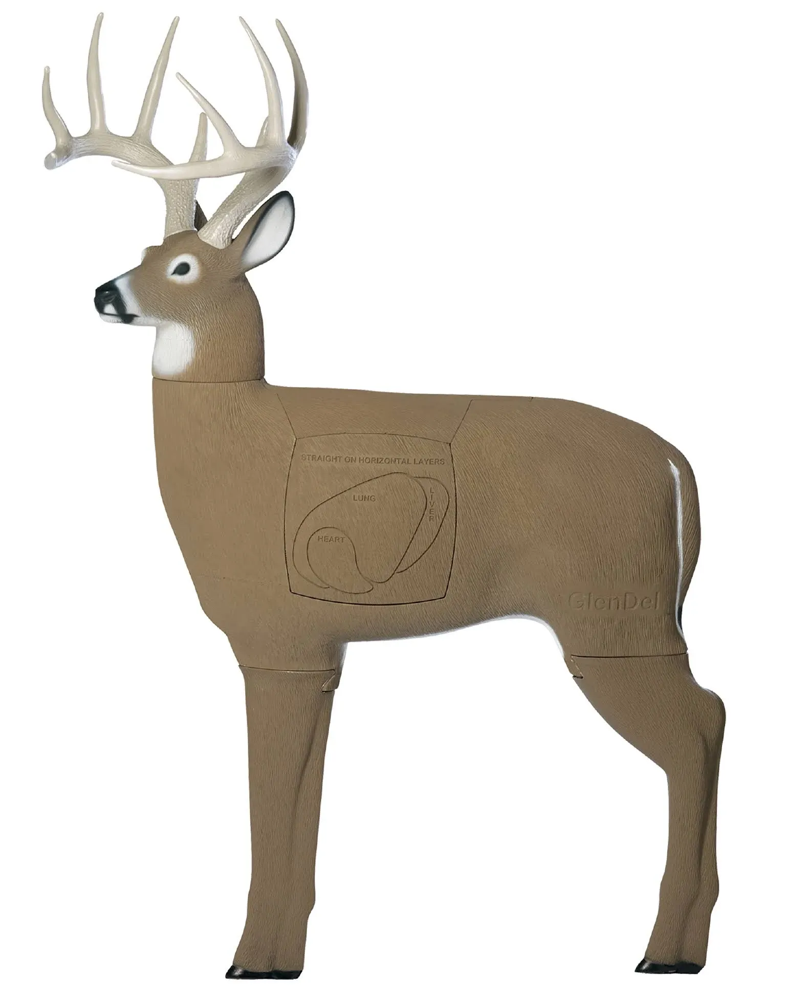 GlenDel Brown Foam Archery Targets 36 in.