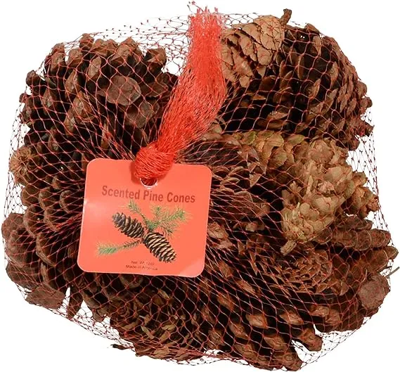 Innovative Fragrances Inc. Cinnamon Scented Pine Cones