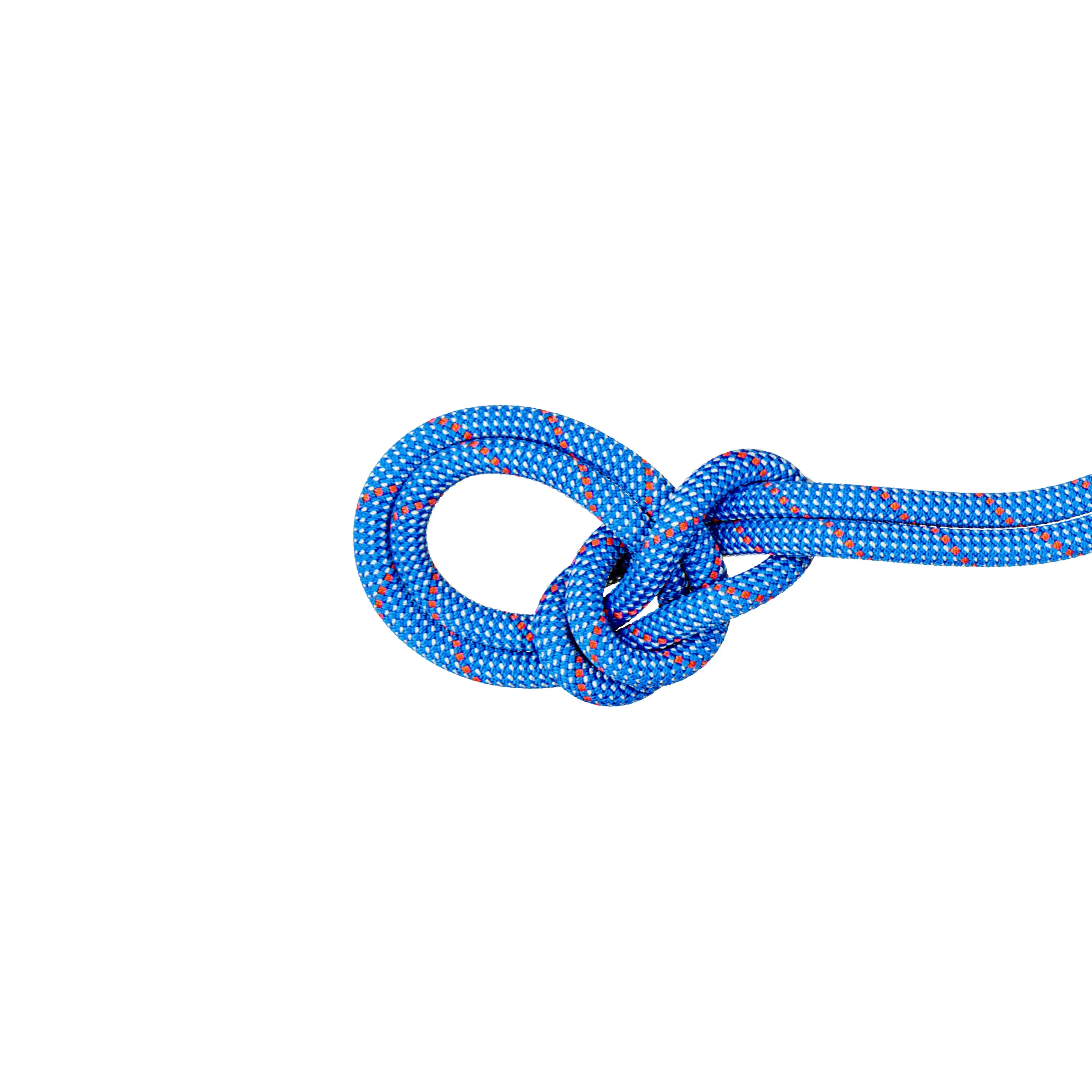 Mammut 9.5 Crag Classic Rope         w/ Free Shipping — 6 models