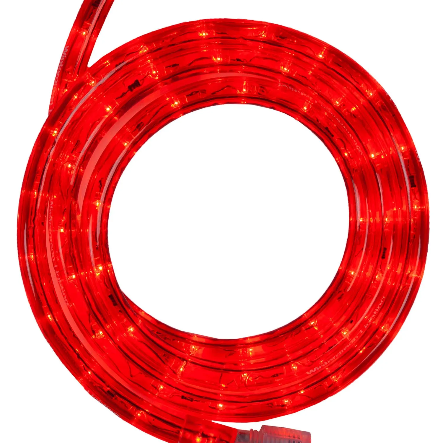 Wintergreen Lighting 18' LED Rope Light