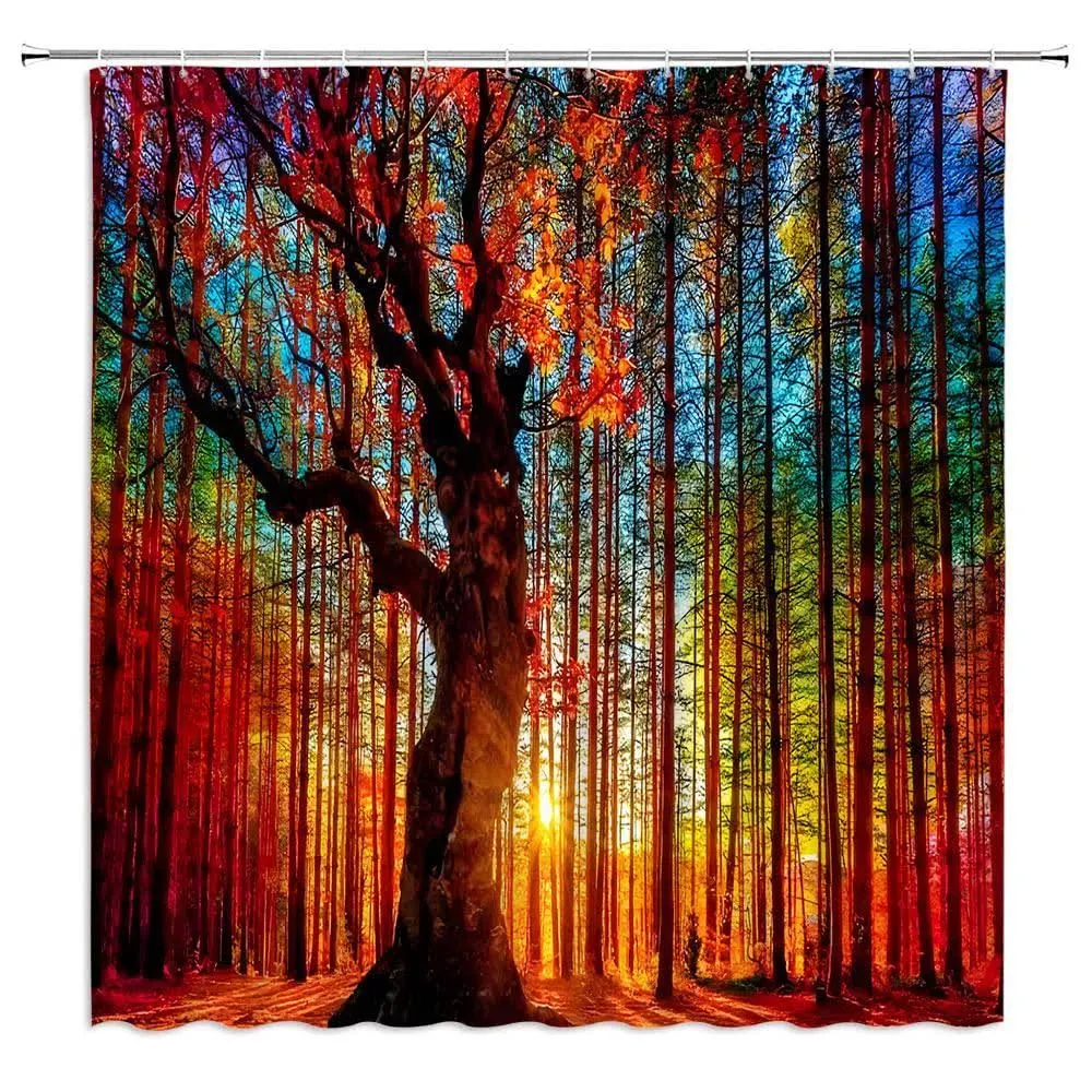 Chui Decor Fall Forest Shower Curtain Sunset Nature Tree Woodsy Romantic Country ...