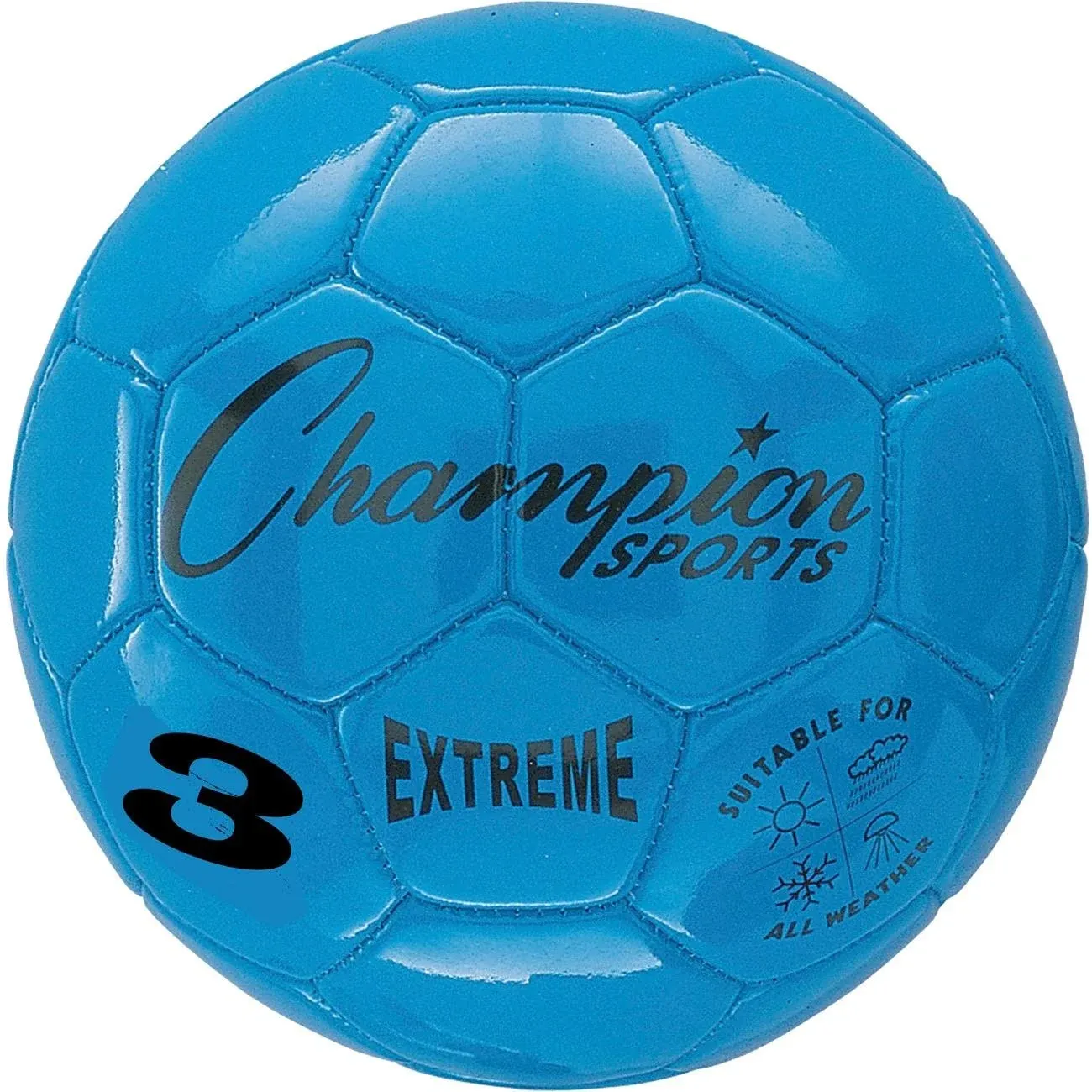 Champion Sports - Extreme Soccer Ball, Size 4, Silver