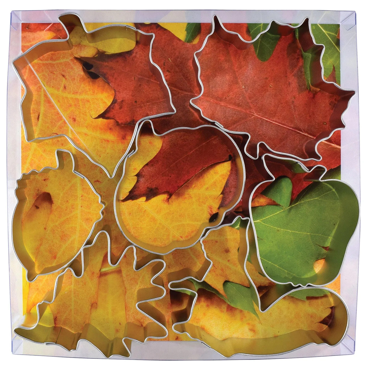 R & M International Autumn Leaf 7 Piece Cookie Cutter Set