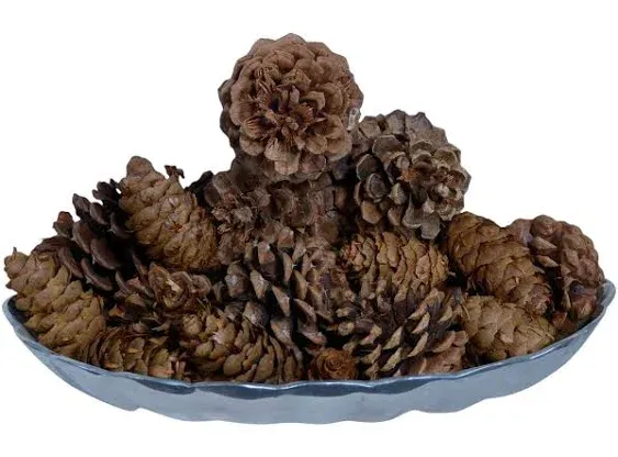 Innovative Fragrances Inc. Cinnamon Scented Pine Cones 12 Ounce Bulk Bag, Made in The USA, Bowl Filler, Vase Filler