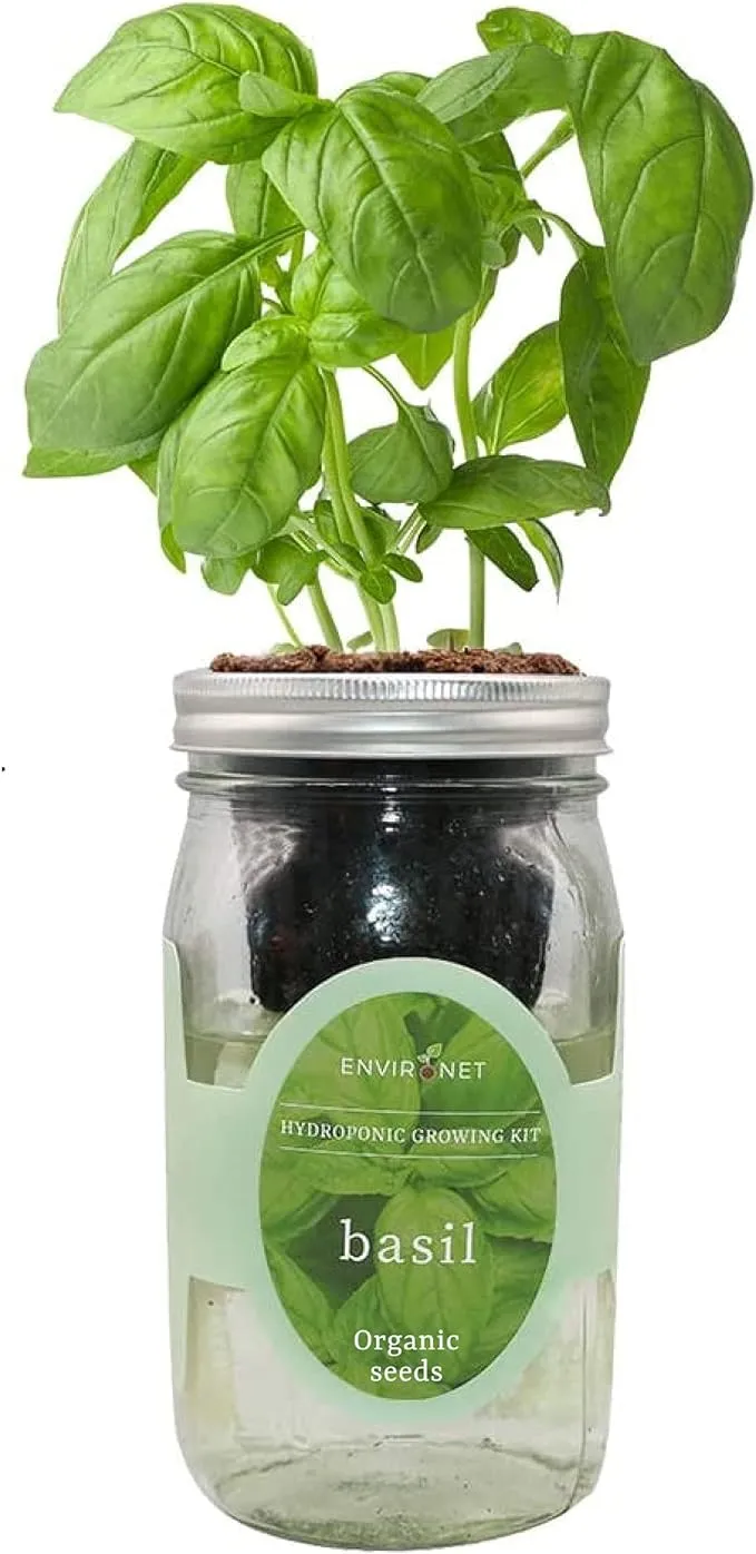 Environet Hydroponic Mason Jar Indoor Garden Organic Seed Starter Kits - Italian Herb Blend Growing Kits, Windowsill Herb Garden, Gardening Gift